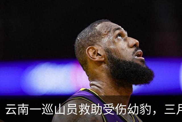 云南一巡山员救助受伤幼豹，三月后豹群夜闯村庄，村民惊醒