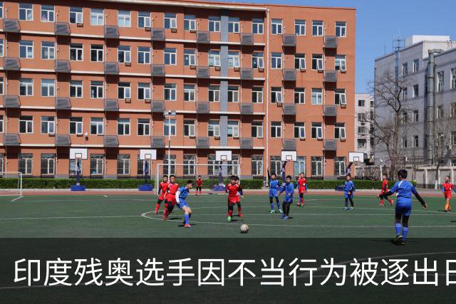 印度残奥选手因不当行为被逐出日本 印残奥委：零容忍建议终身禁赛