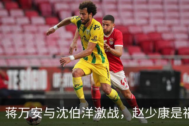 蒋万安与沈伯洋激战，赵少康是祸首，却嫁祸郑丽文？邱毅说公道话