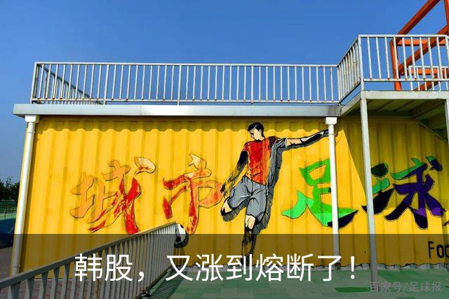 韩股，又涨到熔断了！