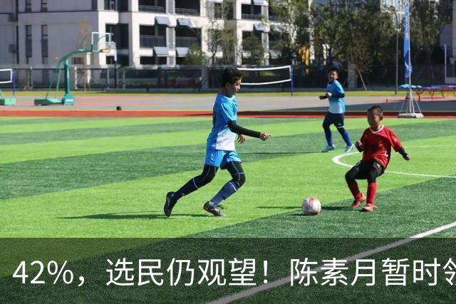 42%，选民仍观望！陈素月暂时领跑，彰化选战变数到底在哪？